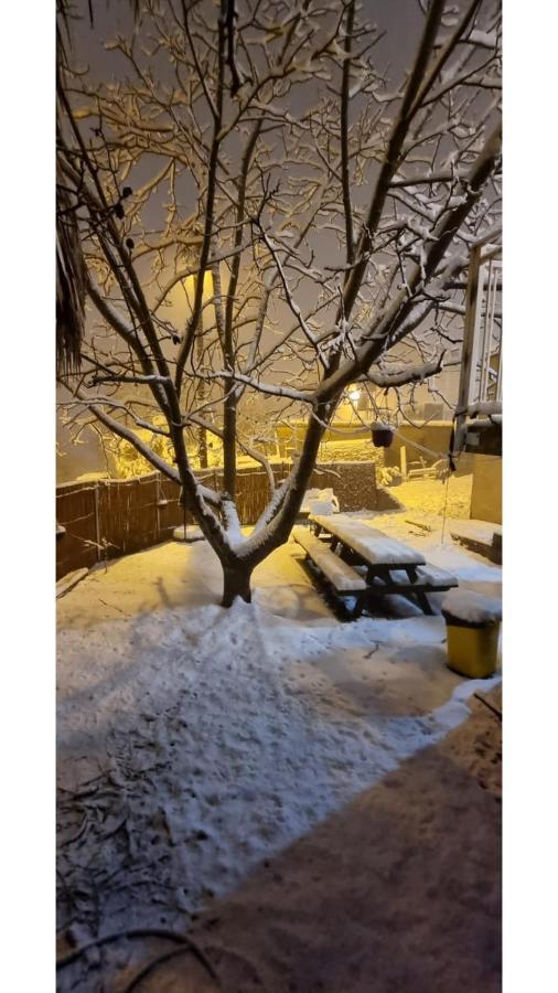 Garden Apartments. Mas'ada Екстер'єр фото